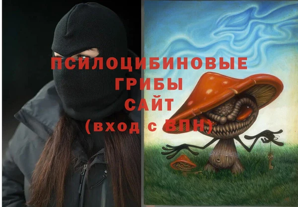 марки lsd Богородицк