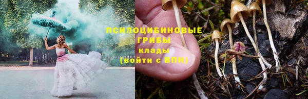 марки lsd Богородицк
