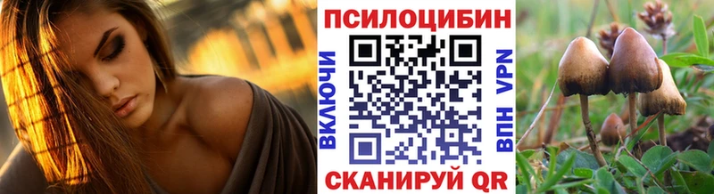 Галлюциногенные грибы мицелий  где купить наркотик  Комсомольск-на-Амуре 